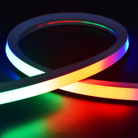 Bande Néon Lumineuse RGB Éclatante Télécommande Néons Colorés RGB DMX LED Néon Flexible