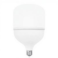 Vente directe d'usine de Chine : Ampoule LED Globe Projecteur avec culot B22/E27, alimentation CA, 3000-7000K, IRC 80, pour usage résidentiel