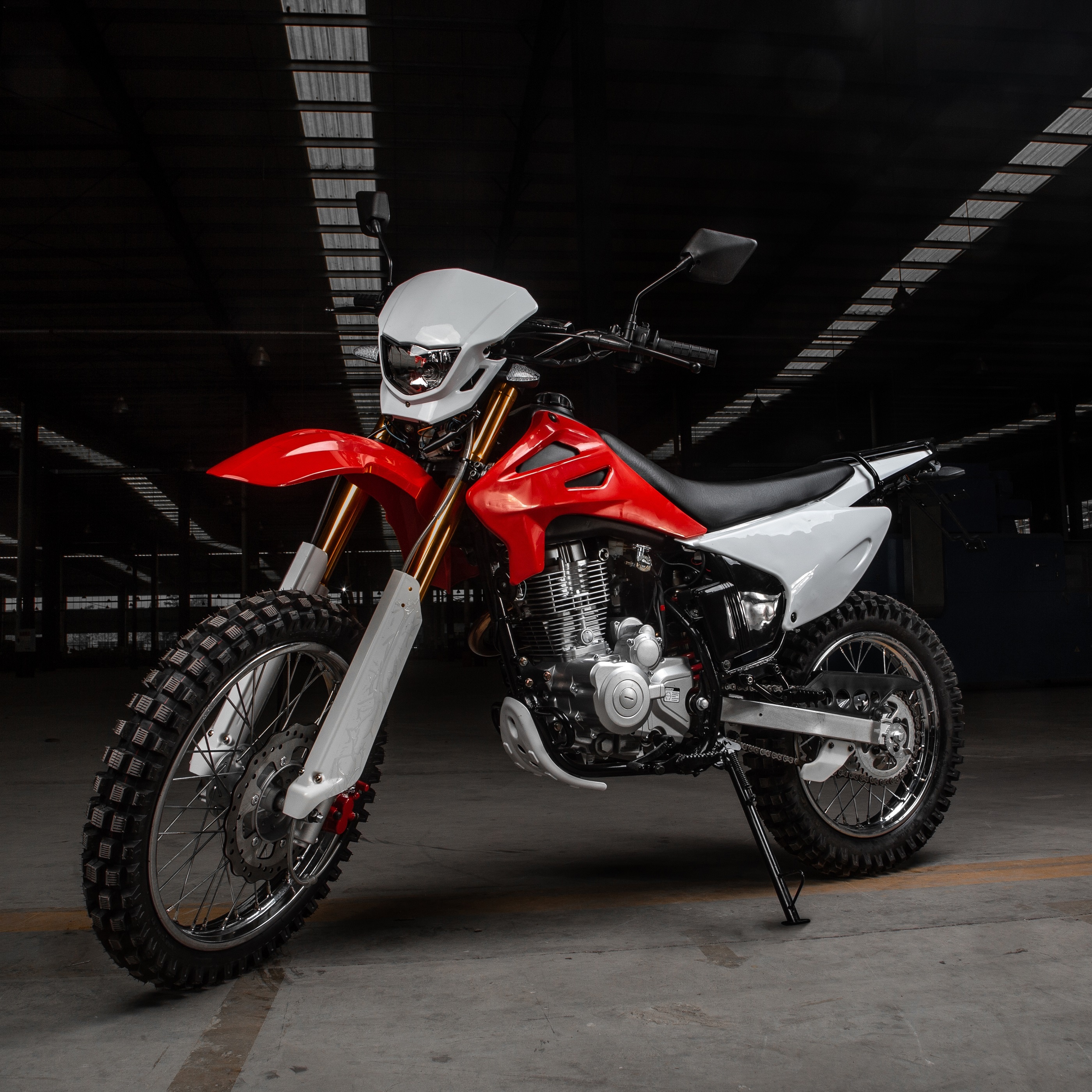 250cc Dirt Bike Motor Trail 250cc TrailMaster JHL Pro Series TM