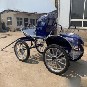Venta Directa de Fábrica, Mini Carroza Eléctrica de Lujo Azul de 4 Ruedas, Hermosa Carruaje Eléctrico - Product Image 6