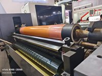 Máquina de Impresión Flexográfica de 8 Colores para Cambio Rápido de Placas de Papel para Hamburguesas