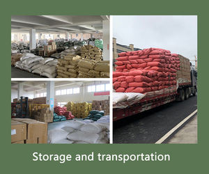 بيع بالجملة بذور الهيل الأسود المجفف التوابل الخام مسحوق التوابل النفط المحفوظ الحبيبات مماثلة لفلفل القرفة - Product Image 5