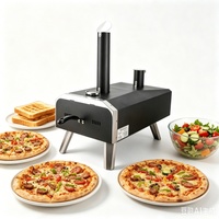 Four à pizza rotatif portable de 12 pouces en acier inoxydable pour l'extérieur, idéal pour le jardin, la cour, le camping et les barbecues