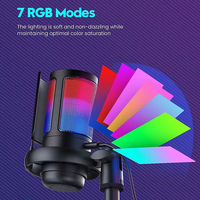 Microphone à condensateur professionnel ME6S - USB, réduction de bruit, éclairage RGB, 192kHz/24bit, léger et portable pour le gaming