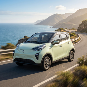 Vehículo Eléctrico <span class=keywords><strong>de</strong></span> 4 <span class=keywords><strong>Puertas</strong></span> y 5 Asientos Fabricado en China, Totalmente Cerrado, <span class=keywords><strong>para</strong></span> Movilidad <span class=keywords><strong>de</strong></span> Personas Mayores, Vehículo Familiar <span class=keywords><strong>de</strong></span> Cuatro Ruedas <span class=keywords><strong>para</strong></span> Viajes <span class=keywords><strong>de</strong></span> Corta Distancia - Product Image 6