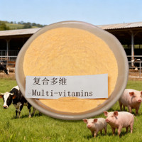Poudre multivitaminée de qualité alimentaire - Prémélange de vitamines hydrosolubles pour l'alimentation des volailles, du bétail et de l'aquaculture