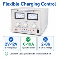 Chargeur de batterie au plomb 2V-12V 0-10A réglable, charge parallèle multiple, arrêt automatique, minuterie pour laboratoire de physique scolaire