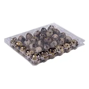 Hot multi-specification high-quality transparent thickened plastic quail egg tray disposable chicken quail egg packaging and lid