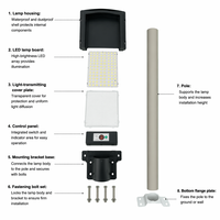 Lámpara Solar LED de 100W/200W/300W, Iluminación Solar para Exteriores, IP65, Impermeable, a Prueba de Polvo y con Protección Contra Rayos