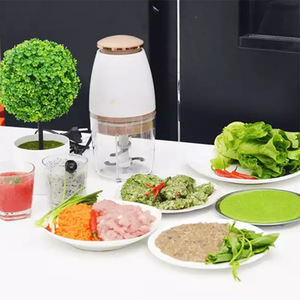 Portable <b>Kitchen</b> Mini Meat Chopper Electric Vegetable Cutter Multifunction Baby Food Processors Machine - Product Image 5