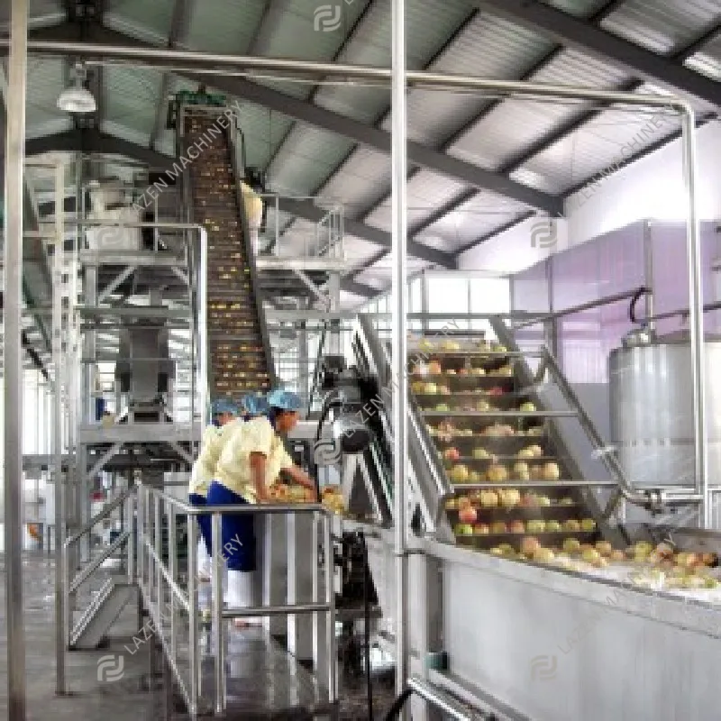 Máquina de procesamiento de manzana, melocotón, albaricoque, fruta, pulpa de zumo, jam, línea de producción de concentrado, gran oferta