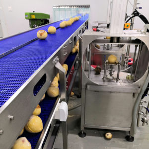 آلة تقشير جوز الهند عالية الكفاءة، خط إنتاج أوتوماتيكي لتقطيع وتقشير جوز الهند وإنتاج ماء جوز الهند - Product Image 1