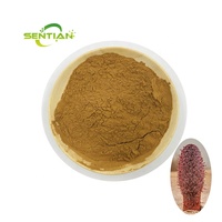 Poudre d'extrait de Cynomorium Songaricum de Sibérie pure et naturelle avec des frais de livraison réduits