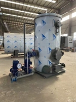 Chaudière industrielle à biomasse Zhongfei 100kg 200kg 300kg 500kg, générateur de vapeur de haute qualité pour usine