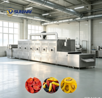 Stabiele werking transportband magnetron droger gedroogd fruit magnetron verwarmingsapparatuur rozijn fruit tunnel magnetronmachine