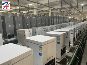 Congelatore HT CKD SKD per Produzione di Massa con Linea di Assemblaggio/Test/Imballaggio Personalizzabile Servizio Completo - Product Image 5