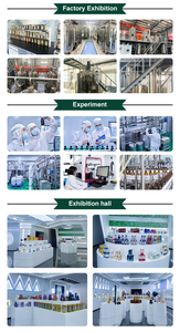 Offre Spéciale : Complément de Magnésium L-Thréonate – Améliore l'Immunité, la Pensée Rapide et la Santé Cognitive – Comprimés pour Adultes – Suppléments à Base de Plantes - Product Image 4