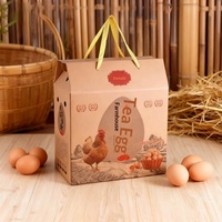 Estuche de transporte personalizado de alta gama para huevos selenizados, con asa, de papel artístico, con forma de avión, con revestimiento de papel de aluminio y bronceado, para exposiciones.