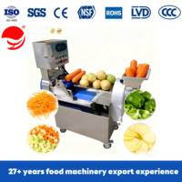 Industriële automatische snijmachine voor citroenen, appels, bananen, kokosnoten, uien, aardappelchips, fruit en groenten.