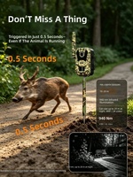 Caméra de chasse 4G LTE rechargeable à énergie solaire 2K J10 avec