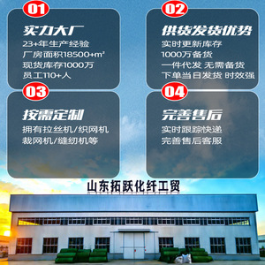 Tuoyue <b>Green</b> Safety Net High Strength Construction Site Dust Protection Scaffolding Fall Prevention <b>Netting</b> - Product Image 2