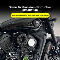 Couverture décorative lumineuse 12V modifiée Abyss pour Napoleon 450 Golden Cat 500/450/350 Gray Stone 250/300 Black Flag 500