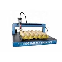 Machine de codage automatique à jet d'encre pour la date d'expiration des œufs de boulangerie de qualité alimentaire, avec moteur et roulement, haute capacité 10000 pièces/heure