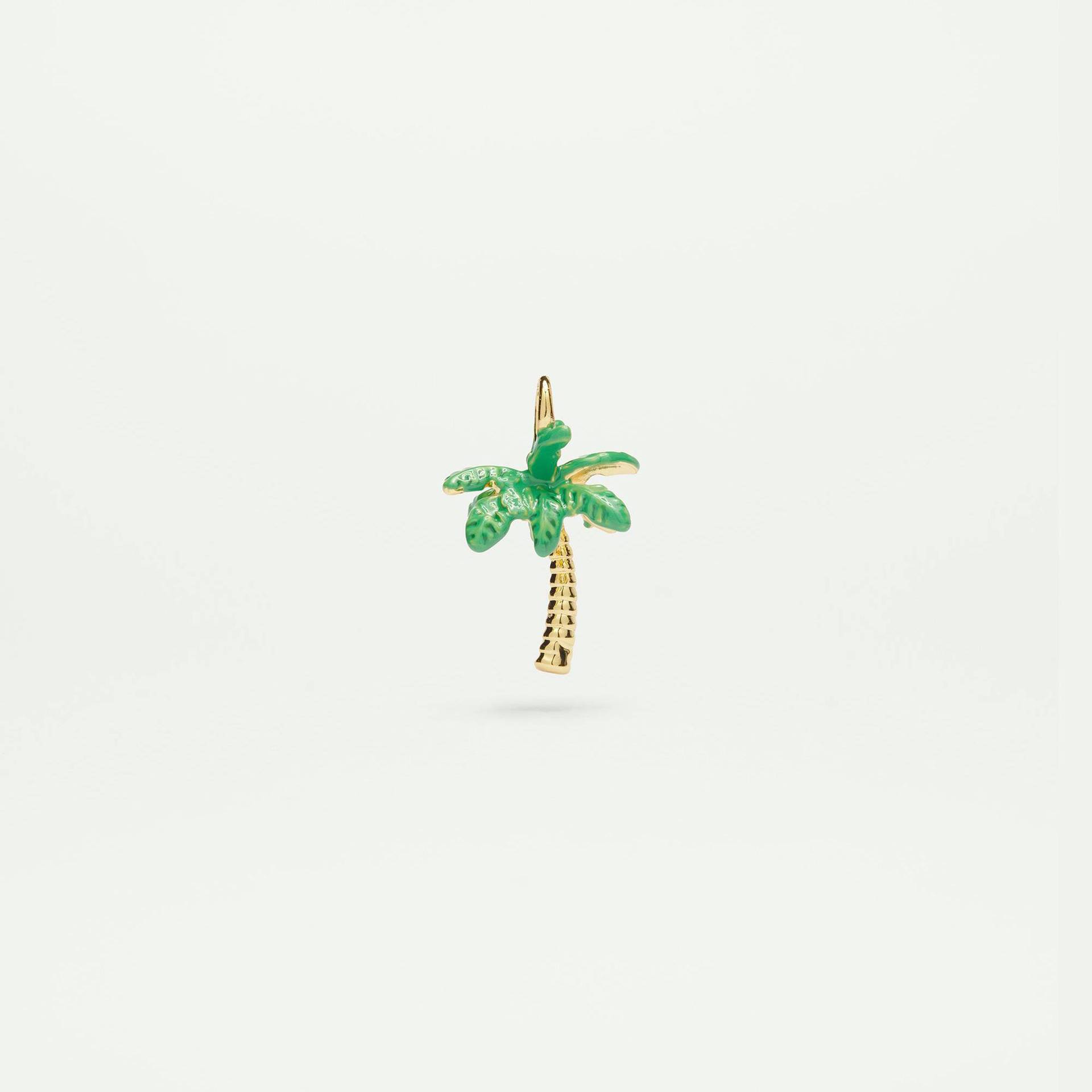 Cocotier