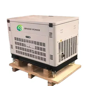 Water cooling 15KW 20KW 30KW Dual Fuel Generator Set Biogas LPG Natural Gas Gasoline Panda Factory Supply Generator Set