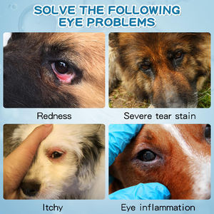 Gouttes oculaires <span class=keywords><strong>pour</strong></span> animaux de compagnie de marque privée Gouttes oculaires <span class=keywords><strong>pour</strong></span> chiens douces et sûres <span class=keywords><strong>pour</strong></span> l'infection Soulager <span class=keywords><strong>les</strong></span> démangeaisons et l'irritation des <span class=keywords><strong>yeux</strong></span> Enlever <span class=keywords><strong>les</strong></span> taches de larmes - Product Image 4