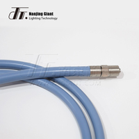 Guide de lumière à fibre optique en verre résistant à la chaleur pour traitement chirurgical endoscopique