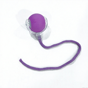 Fabrika doğrudan çevre dostu akıllı otomatik interaktif haddeleme topu <span class=keywords><strong>Pet</strong></span> oyuncak Modern stil elektrik Speedy kuyruk oyuncak köpekler kediler için - Product Image 4