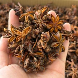 Anís estrellado chino en polvo, mezcla de especias crudas y secas para medicina herbal, condimento con <span class=keywords><strong>cardamomo</strong></span> y albahaca para salsas picantes - Product Image 5