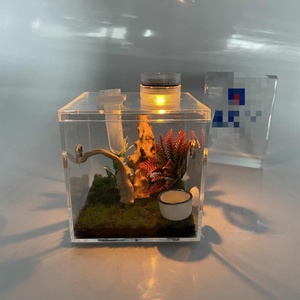 Clear Acrylic Lucite Jumping Spider Feeding Cage Insect Habitat Terrarium for Breeding Feeding Display - Product Image 1