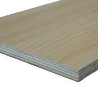 Contreplaqué de bouleau insonorisant pour la décoration de meubles, l'emballage et la construction - E0 Formaldéhyde Qualité supérieure