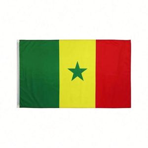 Drapeau du Sénégal 3x5 pieds en aluminium, impression numérique, double couture, pour campagnes électorales, événements et célébrations, vente en gros - Product Image 1