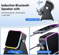 Support de téléphone avec haut-parleur sans fil à induction, éclairage LED RGB, amplificateur rechargeable pour iPhone et Android