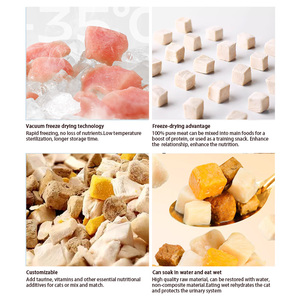 Aliments de base pour animaux de compagnie croquettes complètes lyophilisés <span class=keywords><strong>BARF</strong></span> cru poulet lapin nouveau <span class=keywords><strong>chat</strong></span> chien aliments secs - Product Image 5