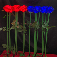 Lumières Solaires de Jardin Extérieur, LED Solaires en Forme de Fleurs avec Roses, Éclairage Solaire Étanche IP65 pour Jardin, Cour, Terrasse, Décoration