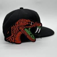 Écussons brodés personnalisés FAMU Rattler HBCU, design de mode, écussons brodés de dessins animés, sororité grecque, à repasser