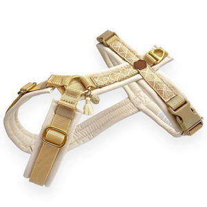 شعار مخصص <span class=keywords><strong>Neoprene</strong></span> وبدون سحب الكلب مجموعة لينة ومريحة على الموضة نمط الجملة - Product Image 4