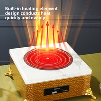 Chauffe-Plat Électrique Commercial en Acier Inoxydable, Réchaud de Luxe avec Lampe Chauffante, Or Rose, Écologique, Capacité 1 Qt