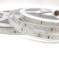 Bande flexible étanche IP68 SMD 2835 24V 60 LED, lumière décorative 12V pour piscines, yachts et navires de croisière