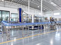 Ligne de production automatique d'eau en bouteille 5000BPH pour usine d'eau en bouteille PET