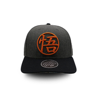 Gorras Clásicas de Béisbol con Visera Plana para Adultos, Gorra de Béisbol Estilo Dad, Gorras Modernas Ajustables para Exteriores