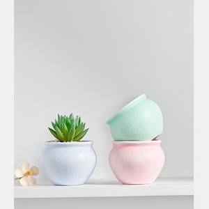 कारखाने थोक आधुनिक सजावटी वेस सिरेमिक पौधे बर्तन बहु-रंग रसीला बर्तन - Product Image 2