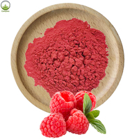 Produk penjualan terbaik bubuk jus Berry buah Raspberry hitam alami