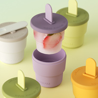 Moules à sucettes glacées pour fruits d'été faits maison Moules à glace en silicone sans BPA