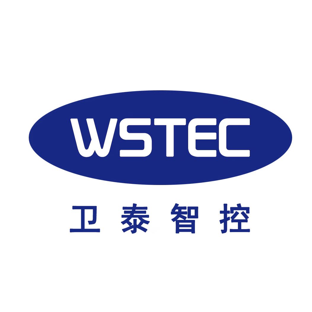 Shandong Weitai Intelligent Control Technology Co., Ltd. logo