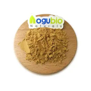 Estratto di guaranà in polvere di semi di guaranà sfuso campione gratuito
